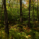 Illustration for article titled Fall Photos 1